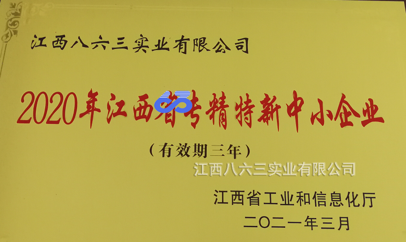 星空官方入口喜获国家级专精特新“小巨人”称号